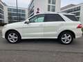 Mercedes-Benz ML 350 CDI BlueTec,AMG Sport Paket,SD, Weiß - thumbnail 9