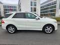 Mercedes-Benz ML 350 CDI BlueTec,AMG Sport Paket,SD, Weiß - thumbnail 10