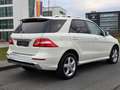 Mercedes-Benz ML 350 CDI BlueTec,AMG Sport Paket,SD, Weiß - thumbnail 7