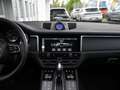 Porsche Macan MACAN 2.0 ACC-PANORMA-KAMERA-PDLS-20"S-MY2022 Albastru - thumbnail 18