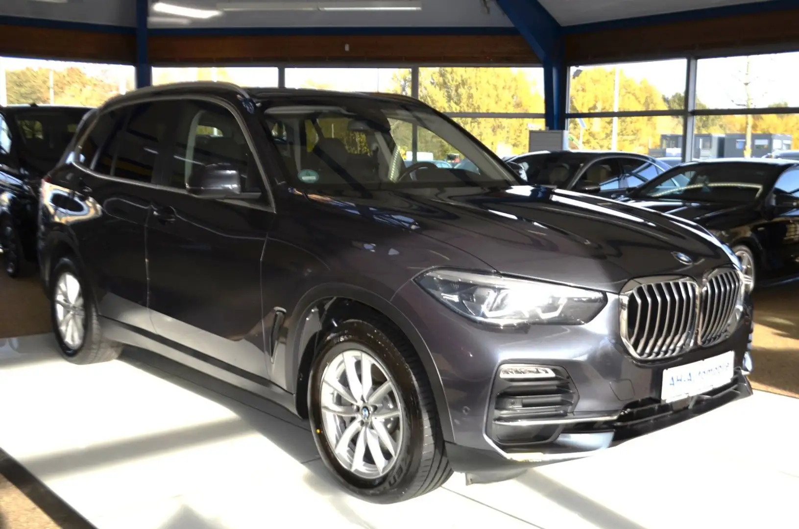BMW X5 xDrive 30 d XENON / NAVI / LEDER / R-KAM /PDC Grau - 2