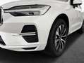 Volvo XC60 XC60 B4 D Plus Dark Weiß - thumbnail 5