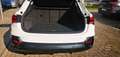 Audi Q3 Q3 2019 Sportback  35 2.0 tdi quattro s-tronic Bianco - thumbnail 9
