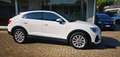 Audi Q3 Q3 2019 Sportback  35 2.0 tdi quattro s-tronic Bianco - thumbnail 2