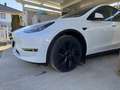 Tesla Model Y Long Range AWD 79kWh - thumbnail 5