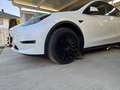 Tesla Model Y Long Range AWD 79kWh - thumbnail 4