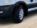 Ford Transit Kasten 2,0 EcoBlue L3H2 350 Trend Weiß - thumbnail 12
