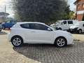 Alfa Romeo MiTo 1.4 78cv Bianco - thumbnail 8