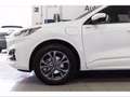 Ford Kuga 2.5 Plug In Hybrid 225 CV CVT 2WD ST-Line Bianco - thumbnail 7