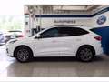 Ford Kuga 2.5 Plug In Hybrid 225 CV CVT 2WD ST-Line Bianco - thumbnail 3