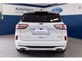 Ford Kuga 2.5 Plug In Hybrid 225 CV CVT 2WD ST-Line Bianco - thumbnail 5