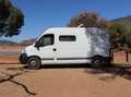 Renault Master Bianco - thumbnail 1