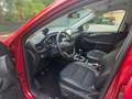 Ford Kuga Kuga 2,0 EcoBlue Hybrid Titanium X Titanium X - thumbnail 6