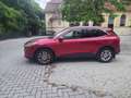 Ford Kuga Kuga 2,0 EcoBlue Hybrid Titanium X Titanium X - thumbnail 5