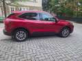 Ford Kuga Kuga 2,0 EcoBlue Hybrid Titanium X Titanium X - thumbnail 3
