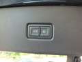 Audi Q5 40 TDI 204 CV QUATTRO-ADAPTIVE CRUIS CONTROL Gris - thumbnail 24