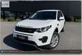 Land Rover Discovery Sport 4WD TD4 SE I Handschalter Weiß - thumbnail 5