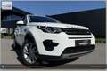 Land Rover Discovery Sport 4WD TD4 SE I Handschalter Weiß - thumbnail 12