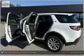 Land Rover Discovery Sport 4WD TD4 SE I Handschalter Weiß - thumbnail 8