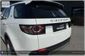 Land Rover Discovery Sport 4WD TD4 SE I Handschalter Weiß - thumbnail 14