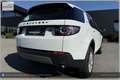 Land Rover Discovery Sport 4WD TD4 SE I Handschalter Weiß - thumbnail 28