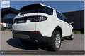 Land Rover Discovery Sport 4WD TD4 SE I Handschalter Weiß - thumbnail 24