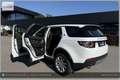 Land Rover Discovery Sport 4WD TD4 SE I Handschalter Weiß - thumbnail 3