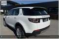 Land Rover Discovery Sport 4WD TD4 SE I Handschalter Weiß - thumbnail 6