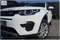 Land Rover Discovery Sport 4WD TD4 SE I Handschalter Weiß - thumbnail 35