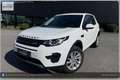 Land Rover Discovery Sport 4WD TD4 SE I Handschalter Weiß - thumbnail 33