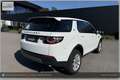 Land Rover Discovery Sport 4WD TD4 SE I Handschalter Weiß - thumbnail 20