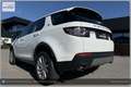 Land Rover Discovery Sport 4WD TD4 SE I Handschalter Weiß - thumbnail 10