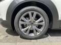 Mazda CX-30 2.0L e-SKYACTIV G 122ps Exclusive-line DESI Weiß - thumbnail 15