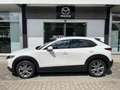 Mazda CX-30 2.0L e-SKYACTIV G 122ps Exclusive-line DESI Weiß - thumbnail 4