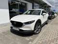 Mazda CX-30 2.0L e-SKYACTIV G 122ps Exclusive-line DESI Weiß - thumbnail 5