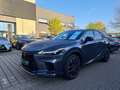 Lexus RX 500h F-Sport Performance zuverlässiger SUV Grau - thumbnail 1