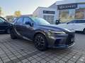 Lexus RX 500h F-Sport Performance zuverlässiger SUV Grau - thumbnail 7