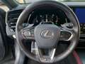 Lexus RX 500h F-Sport Performance zuverlässiger SUV Grau - thumbnail 14