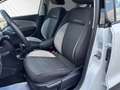 Volkswagen Polo Cross 1,2 TSI TEMPOMAT+SHZ+KLIMA+PDC Blanc - thumbnail 8