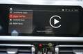 BMW 320 d Advantage Alarm HiFI AHK ViCo  Advantage Schwarz - thumbnail 40