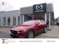 Mazda CX-30 Exclusive-Line 140 Automatik BOSE|Navi|Matrix-LED Rood - thumbnail 1