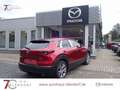 Mazda CX-30 Exclusive-Line 140 Automatik BOSE|Navi|Matrix-LED Rood - thumbnail 4