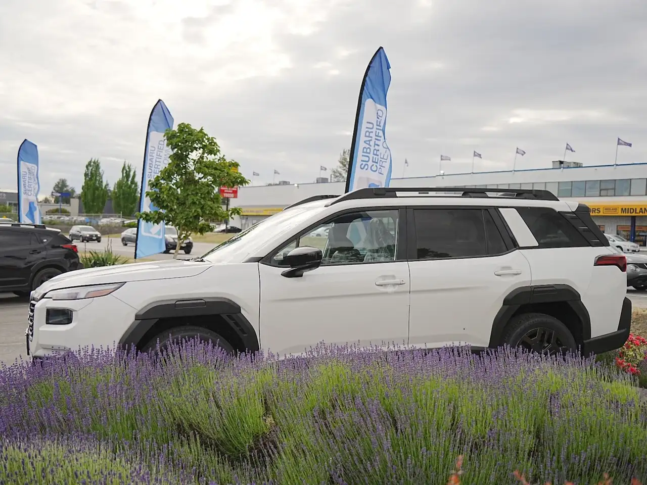 Subaru OUTBACK fotografie Subaru OUTBACK