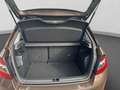 Skoda Fabia 1.0 TSI Drive 125 Best of Alu LED Pano Nav Braun - thumbnail 22