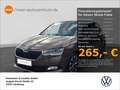 Skoda Fabia 1.0 TSI Drive 125 Best of Alu LED Pano Nav Braun - thumbnail 1