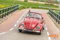 Volkswagen Kever Original Dutch, better than new, matching numbers Rouge - thumbnail 3
