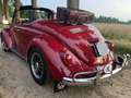 Volkswagen Kever Cabrio, better than new! Rood - thumbnail 4