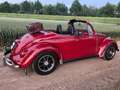 Volkswagen Kever Cabrio, better than new! Rood - thumbnail 7