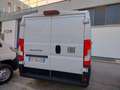 Fiat Ducato 33 2.2 Mjt 140CV L2 H1 Furgone MY25 Blanco - thumbnail 9