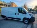 Fiat Ducato 33 2.2 Mjt 140CV L2 H1 Furgone MY25 Blanco - thumbnail 6